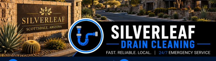drain cleaning Silverleaf